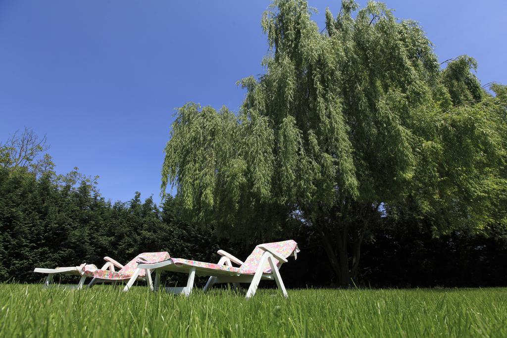 Casumaro Borgo Dei Sensi B&B 외부 사진